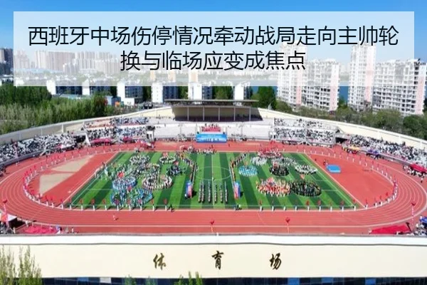 img_1781935294477_62_1_488.jpg